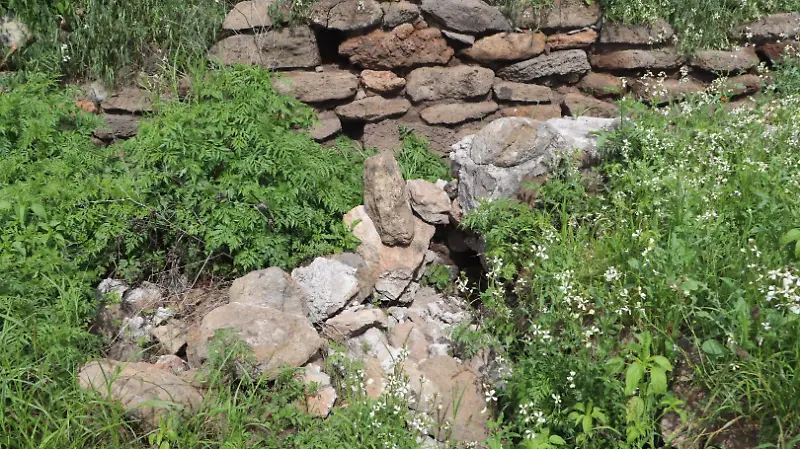 Zona arqueológica de El Rosario